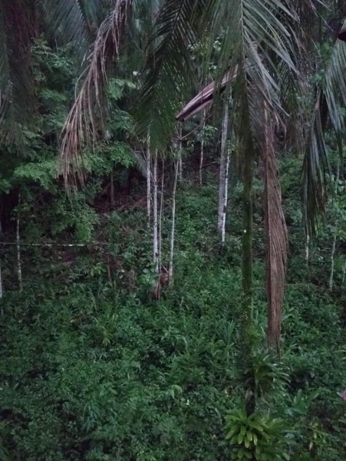 Chácara para Venda em Morretes / PR no bairro Estrada do Anhaia